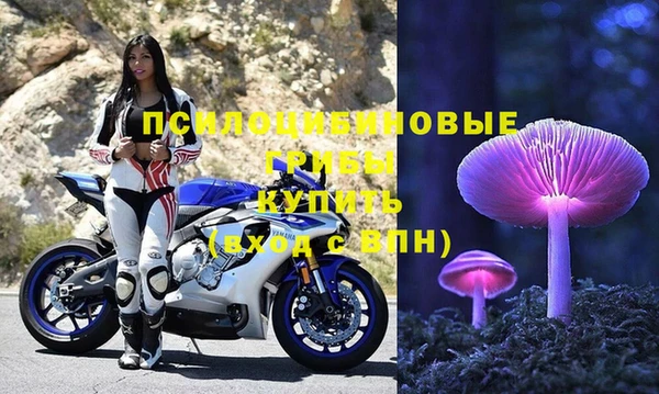 мдпв Лиски