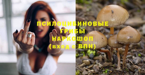 спайс Липки