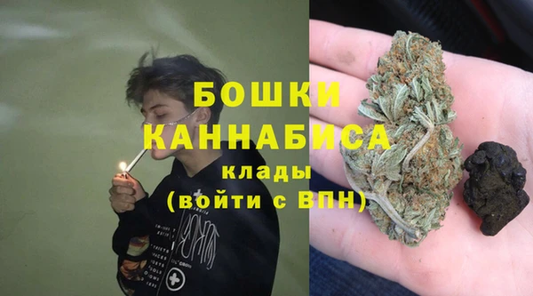 мдпв Лиски