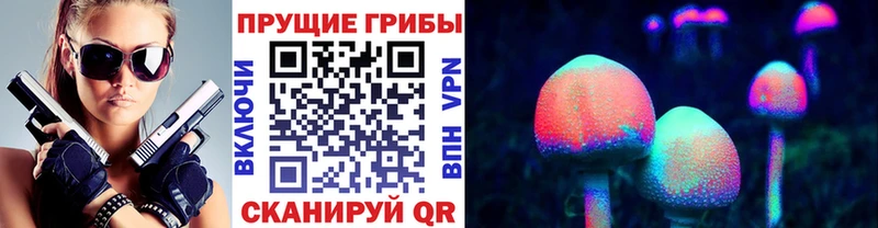 Псилоцибиновые грибы Cubensis  Фокино 